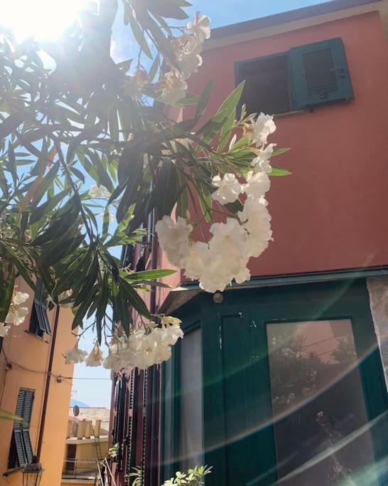Historic Downtown Home By The Sea With King Bed Monterosso al Mare Ngoại thất bức ảnh